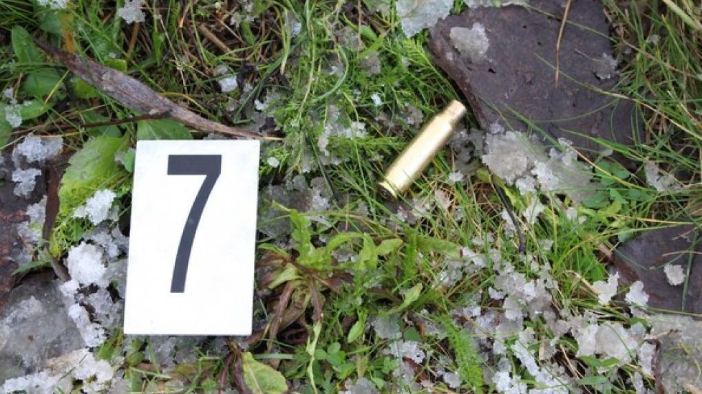 Myslivce, který na Tachovsku zastřelil svého kolegu, podezřívá policie z přečinu z nedbalosti